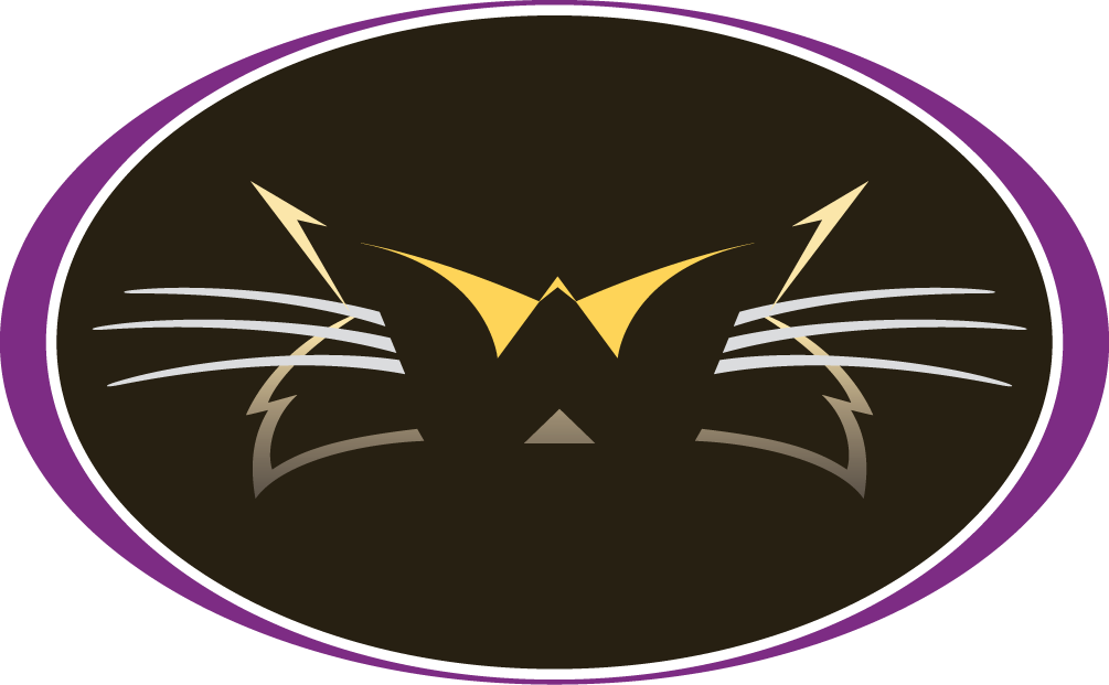 Western Carolina Catamounts 2000-2007 Alternate Logo iron on transfers for T-shirts